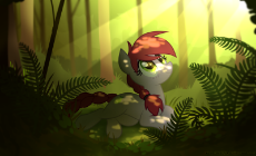 Forestred.png