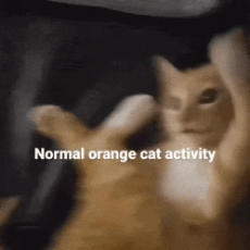 4a04dfdab7f73238aa8723177887d3f1.gif