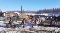 2893712806.mp4