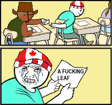 _a fucking leaf.jpg