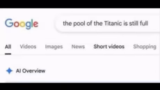 1774885768477287.webm