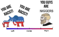 politics of niggers.png