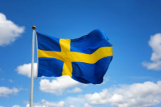 Swedish Flag.png