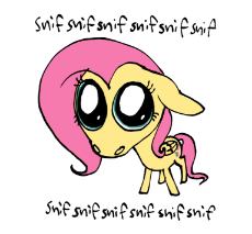 2862405.png