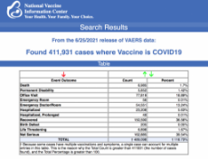 vaers_vaccine_inuries_cdc_july_2-1024x786.png