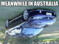 meanwhile_in_australia.jpg