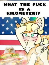 6999052__safe_artist-colon-sodapop+sprays_imported+from+derpibooru_oc_oc+only_oc-colon-sodapop+sprays_bird_eagle_pegasus_pony_4th+of+july_american+flag_blushing (1).png