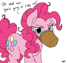 RidethePonk.jpeg