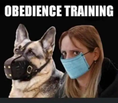 dog-human-obedience-training-facemask.jpeg