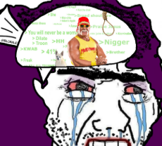 hulk_hogan_rent_free_in_trannies_head.jpg