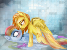 3358422__suggestive_artist-colon-raincrash_rainbow+dash_spitfire_pegasus_pony_g4_bathing+together_bathroom_blushing_chest+fluff_duo_duo+female_female_lesbian_lo.png