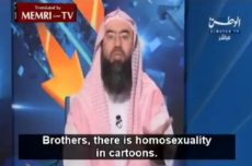 Brothers, there is homosexuality in cartoons.jpg