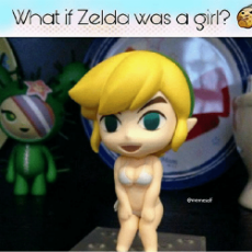 what-if-zelda-was-a-oirl-memeself-haha-what-if-29986787.png