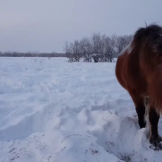 4041303343.mp4