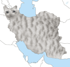 23232323.png