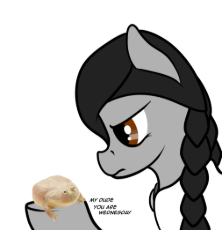 2595789.png