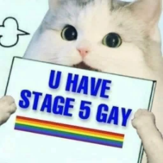 stage5 gay.jpg