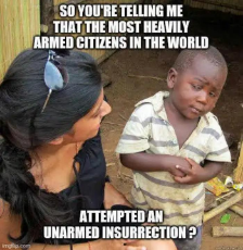 z - so-tell-me-most-heavily-armed-citizens-in-world-attempted-unarmed-insurrection.jpeg