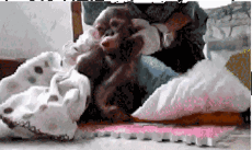 1596082093300.gif