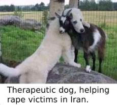 therapy-dog.jpg