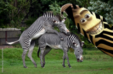 1000_F_451007436_l9WHcQvUT7T2yUFp2OjMZVowqjsWw5Z8.jpg