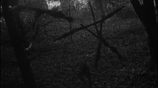 blairwitch.png