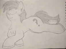 Relaxed Filly.jpg