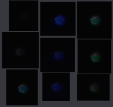 Bildschirmfoto vom 2025-03-17 21-51-41.png