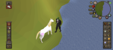 osrsshinabiganss.png