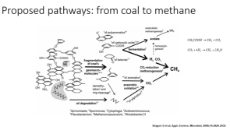 coal to methane.png