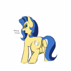 horse tiddies.jpeg