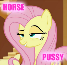 horse pussy.png