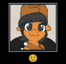 1742486158885318_mlpol.png