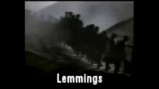 Lemmings by Dr. William L. Pierce.mp4
