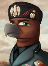 portrait_wingbardy_giulio_beakolini.jpeg