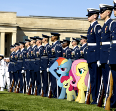 112689.png