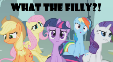 what the filly.png