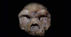 Skull-Found-in-China.jpg