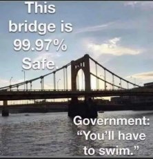 bridge-99.97-percent-safe-government-have-to-swim.jpeg
