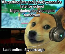 _Doge gamer fren last online 5 years ago.jpg