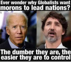 question-wonder-why-biden-trudeau-globalists-dumber-they-are-easier-to-control.jpeg