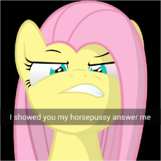 answer me pony pussy.jpg