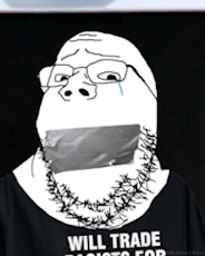 1732848069604332.mp4