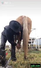 Trimming the horsey's hooves.mp4
