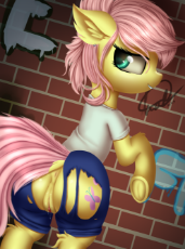 1741521__explicit_artist-colon-alexander56910_fluttershy_alternate hairstyle_anus_clothes_dock_ear fluff_female_graffiti_nudity_ripping clothes_solo_so.png