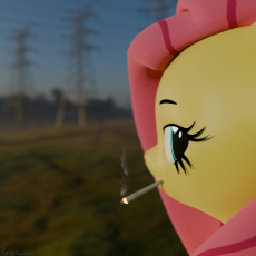 3811008__safe_artist-colon-kamikadze_derpibooru+import_fluttershy_pegasus_pony_g4_3d_blender_half+face_image_looking+at+you_png_smoking_solo.png