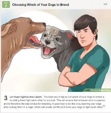 wikihow to breed dogs.png