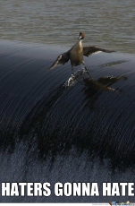 awesome-duck-is-awesome_o_….jpg