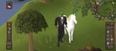 osrsshinanigans.png