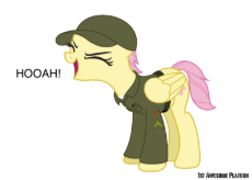 663194__safe_artist-colon-ethanchang_derpibooru+import_fluttershy_pegasus_pony_1st+awesome+platoon_alternate+hairstyle_army_eyes+closed_female_fluttery.png